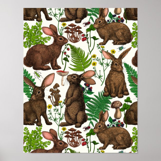 Kaninchen und Waldflora 4 Poster (Vorne)