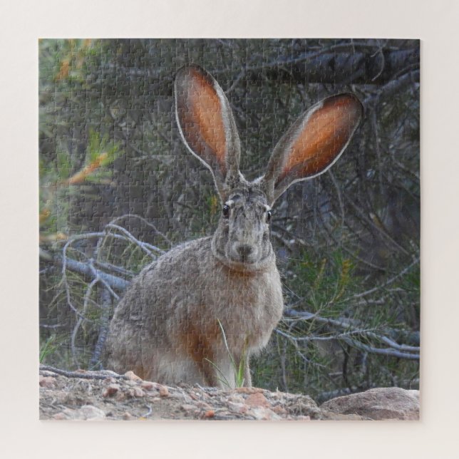 Kaninchen, wild lebende Tiere, Puzzle mit Geschenk (Vertikal)