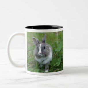 Kaninchen Zweifarbige Tasse