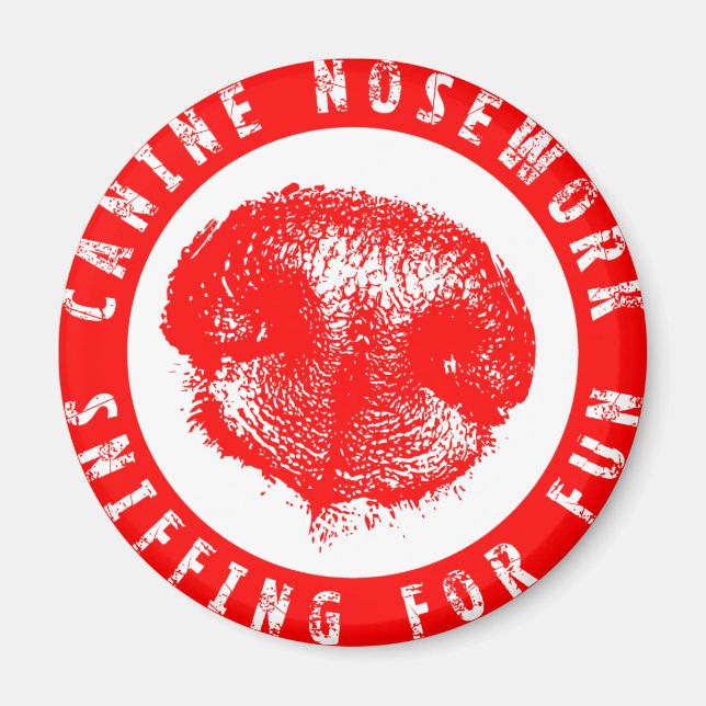 Kaninchenarbeit, Sniffing für Spaß Magnet (Vorne)