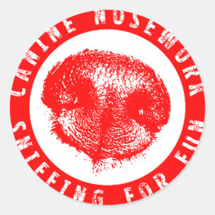 Kaninchenarbeit, Sniffing für Spaß Runder Aufkleber