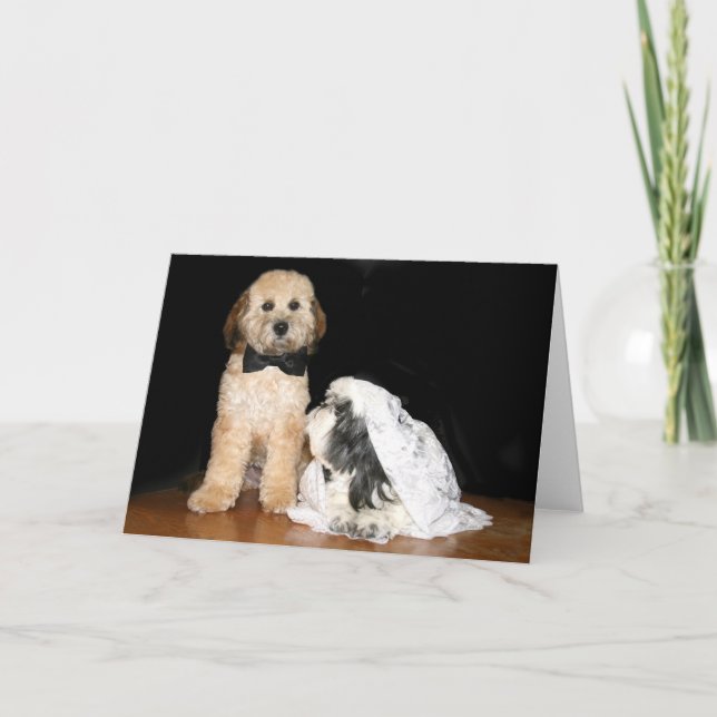 Kaninchenbraut und -räuber karte (Vorderseite)