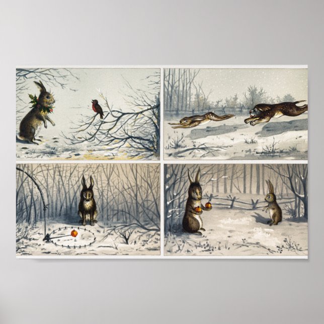 Kaninchendarstellung Poster (Vorne)