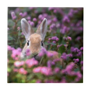 Kaninchenfarm Fliese
