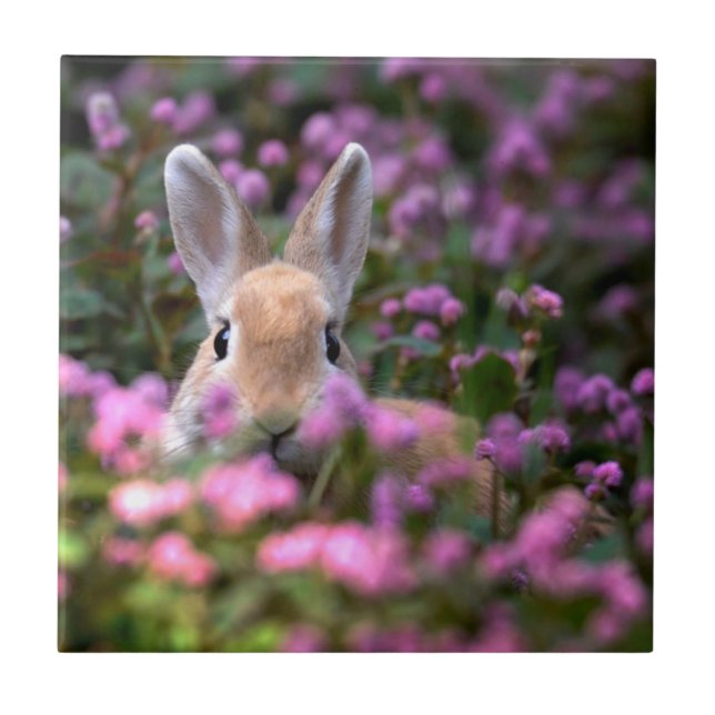 Kaninchenfarm Fliese (Vorderseite)