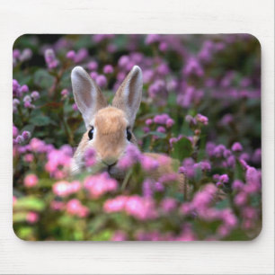 Kaninchenfarm Mousepad