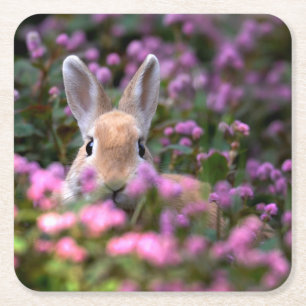 Kaninchenfarm Rechteckiger Pappuntersetzer