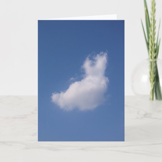 Kaninchenfloss Karte (Vorderseite)