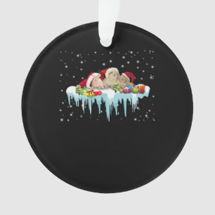 Kaninchengeschenk  Drei Kaninchen wirklich schöne  Ornament