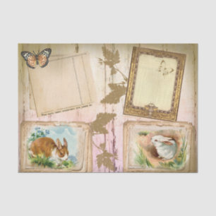 Kaninchengewebe Seidenpapier