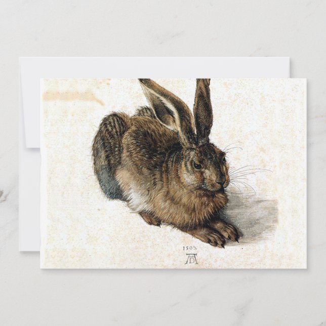 Kaninchenhaare im Schnee - Durand (Vorderseite)