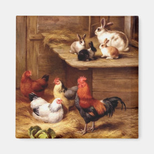 Kaninchenhahnhenne-Viehhäschen Magnet