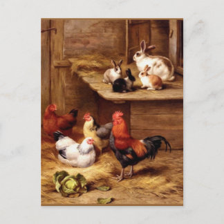 Kaninchenhennen Postkarte