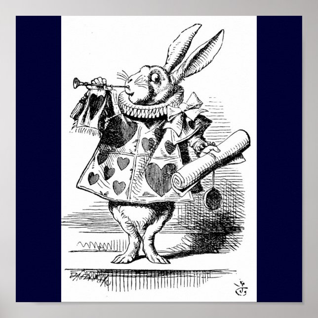 Kaninchenplakat Poster (Vorne)