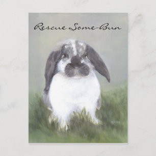 Kaninchenrettungskarte Postkarte
