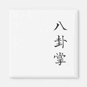 Kanji Zeichen Chinesischer Text Baguazhang Magnet