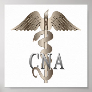 KANN Caduceus Poster