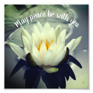 Kann Frieden mit Ihnen Lotus Inspiration 8x8 Fotodruck