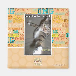 kann I haz DIS tanzen? Magnet