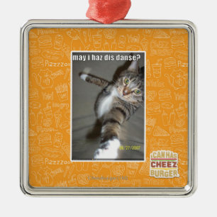 kann I haz DIS tanzen? Silbernes Ornament