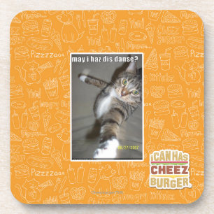 kann I haz DIS tanzen? Untersetzer