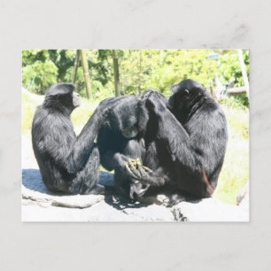 Kann ich dein Gehirn auswählen? Postkarte