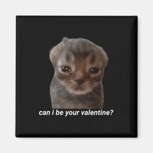 Kann ich dein Valentinstag sein lustige Katze Meme Magnet