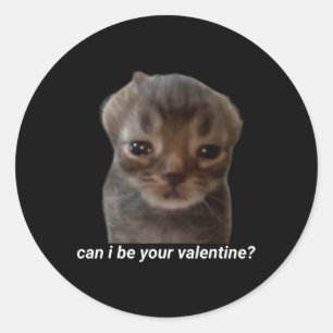 Kann ich dein Valentinstag sein Lustiges Katzen-Me Runder Aufkleber