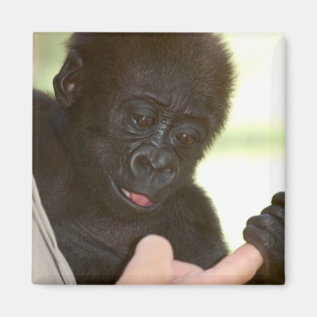 Kann ich deine Hand halten? Magnet (Vorne)