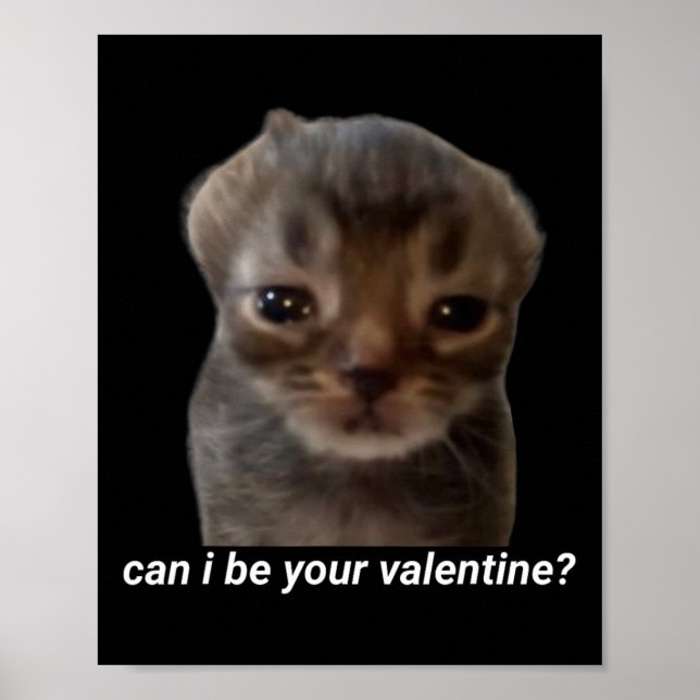 Kann ich deine Valentine Funny Cat Meme Brainrot G Poster (Vorne)