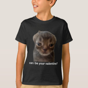 Kann ich deine Valentine Funny Cat Meme Brainrot G T-Shirt