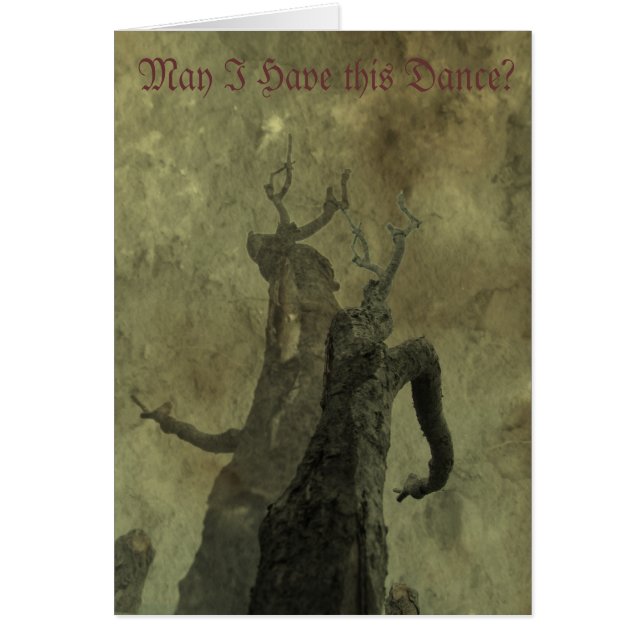 Kann ich diesen Tanz haben? (Vorne)