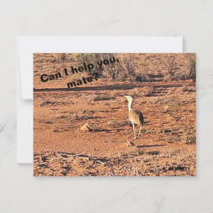 Kann ich dir helfen, Kumpel? Postkarte
