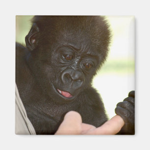 Kann ich Ihre Hand halten? Magnet