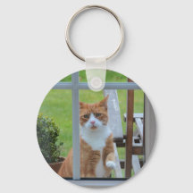 Kann ich in Kürbisgewächs kommen?