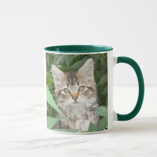Kann ich Kaffee haben? PURR-TY Bitte! Tasse