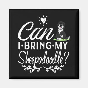 Kann ich meine Sheepadoodle mitbringen? Magnet