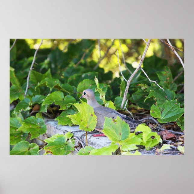 Kann mich nicht sehen poster (Vorne)