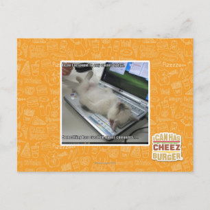 Kann nicht antworten postkarte