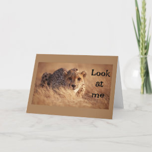 KANN NICHT GLAUBEN, DASS "SIE" "16" SIND KARTE