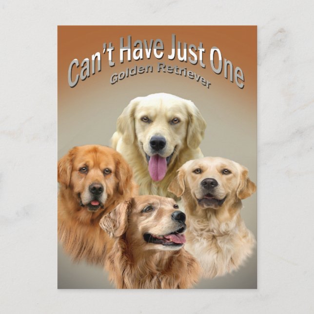 Kann nicht nur eine goldene Postkarte haben (Vorderseite)