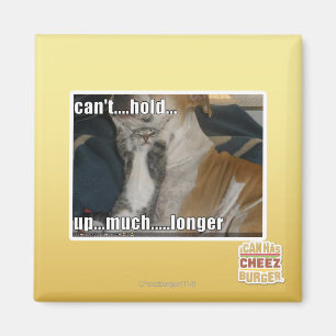 Kann nicht viel länger aufhalten magnet