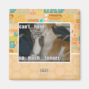 Kann nicht viel länger aufhalten magnet