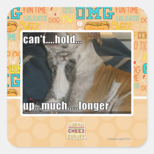 Kann nicht viel länger aufhalten quadratischer aufkleber