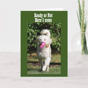 KANN NICHT WARTEN AUF FEIERN **UNSERE JAHRESKARTE* KARTE