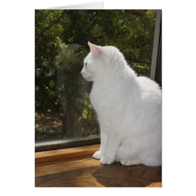 Kann nicht warten, um Sie zu sehen (Vorne)