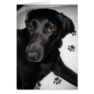 Kann sich nicht helfen