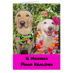 Kann unser Liebe-Letztes für immer!