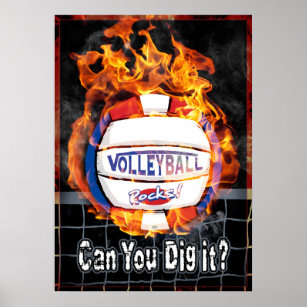 Kannst du es mit dem roten blauen Volleyball verbr Poster