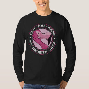 Kannst du meinen Lieblingsfarbenflamingo 1 erraten T-Shirt